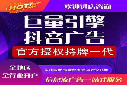 某行业巨头背后的SEM代运营服务公司